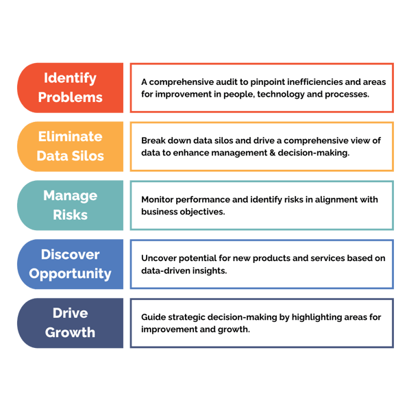 data audit importance